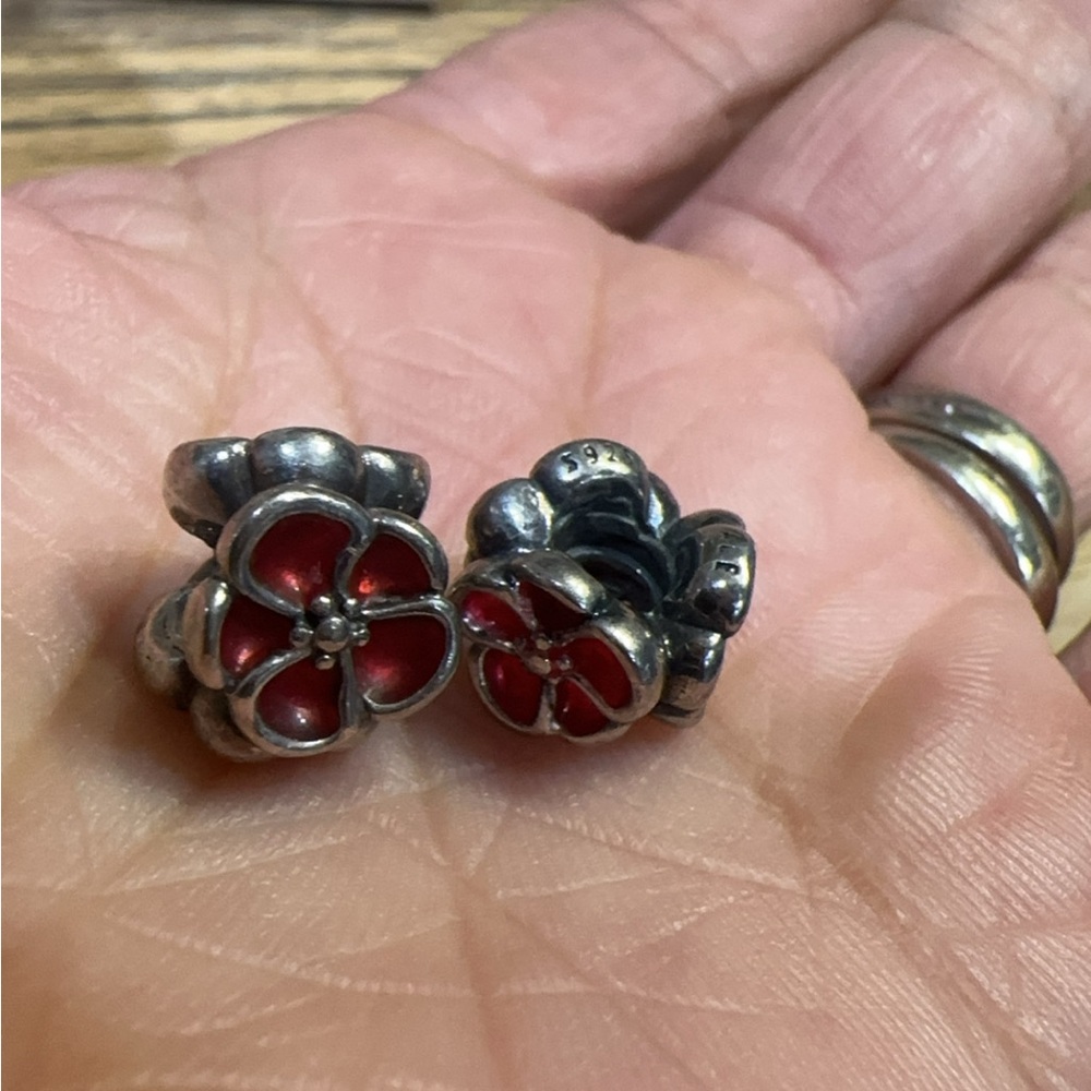 Retired Pandora charms